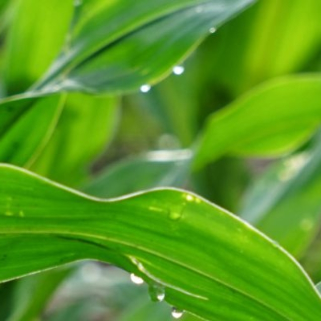 siarczan-magnezu-produkt-3-q476og74aue6shkub2k8ml2mb7lspmlhd4508adacg